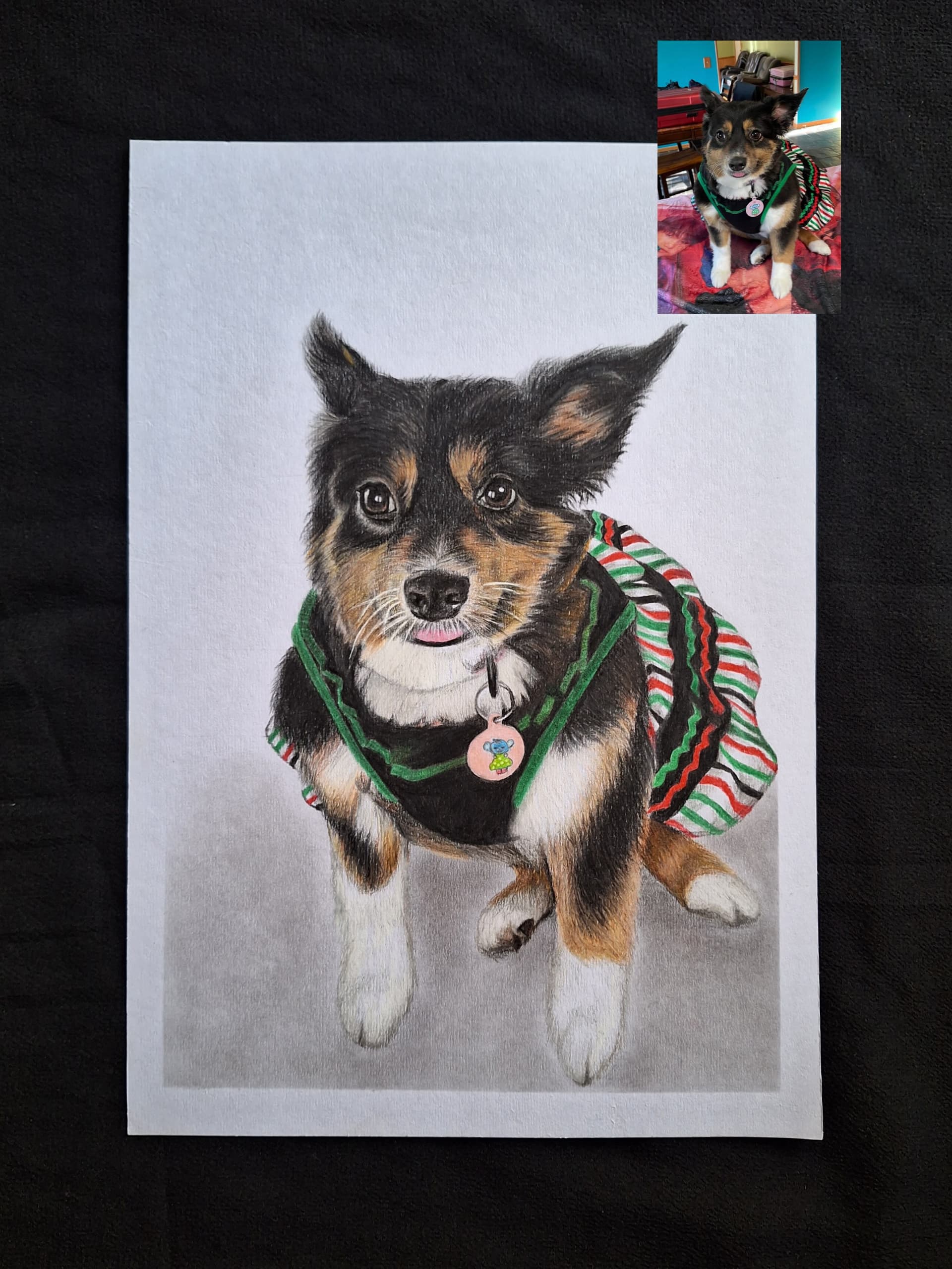 PET PORTRAIT in Color Pencil - view 1