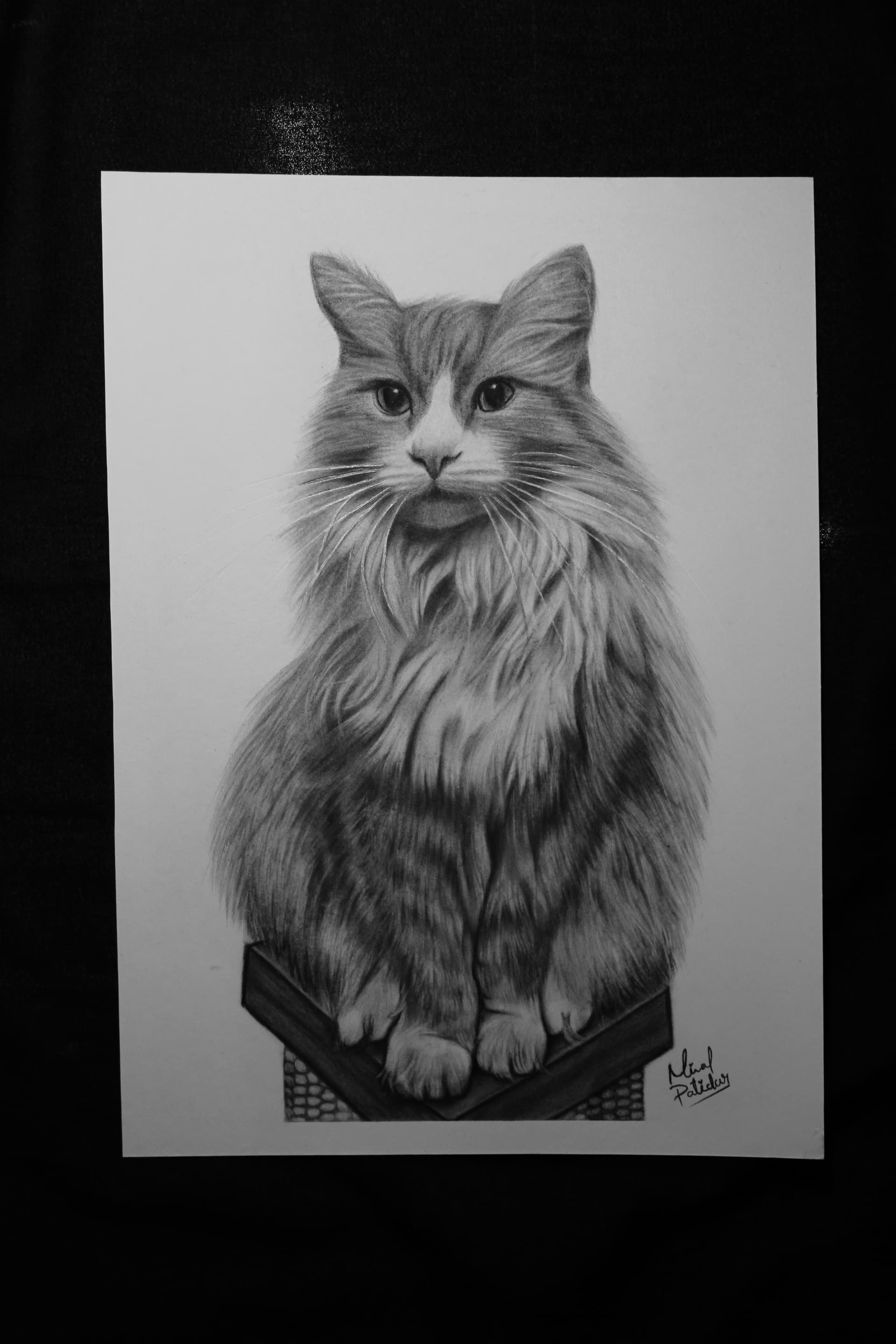 Pet Portrait Cat in Charcoal Pencil - view 1
