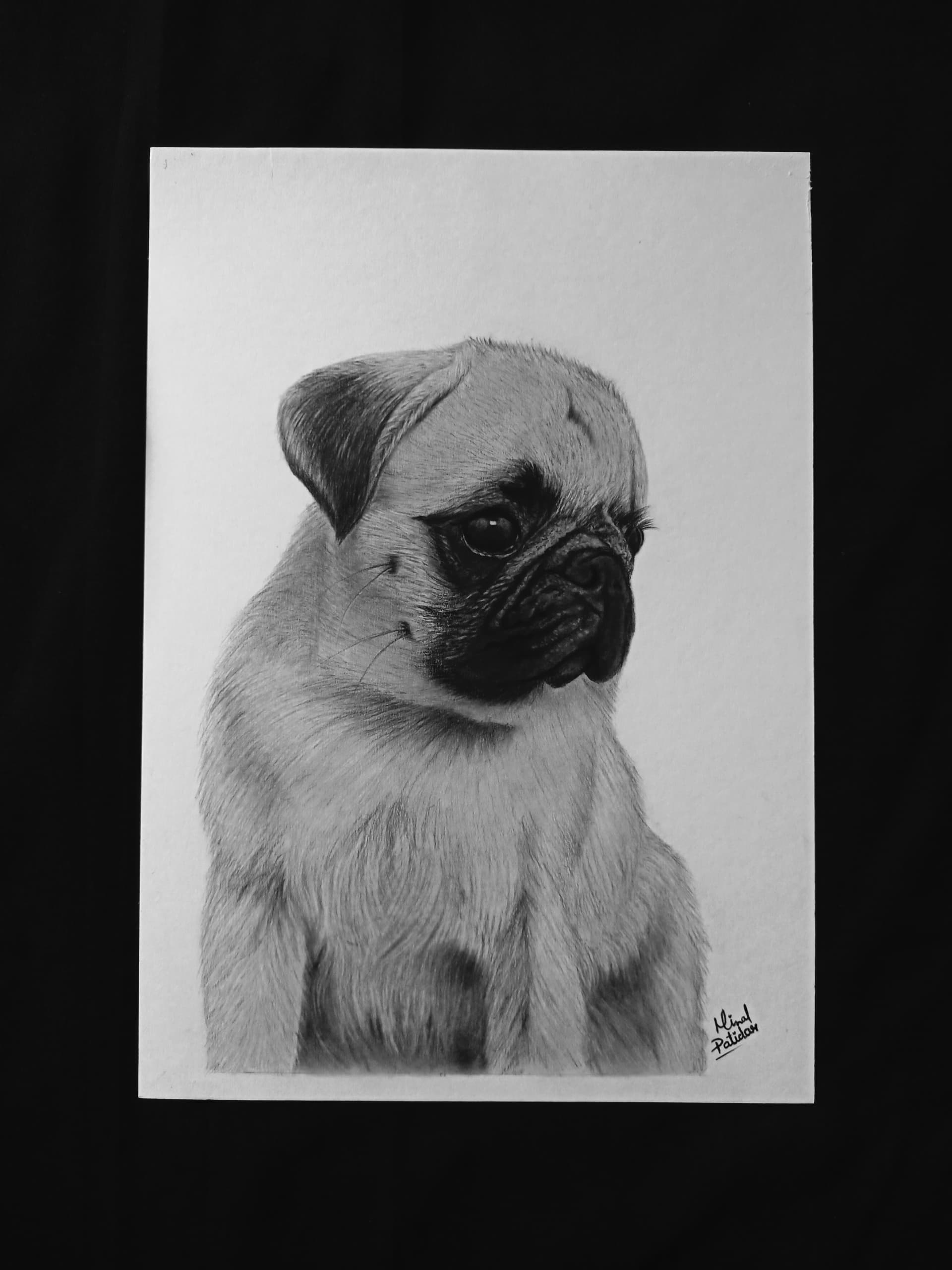 Pet Portrait Dog in Pencil Charcoal - view 1